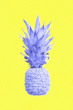 当代艺术拼贴画与菠萝异国情调的热带水果流行艺术完美的为邀请问候卡片海报健美的当代艺术拼贴画与菠萝异国情调的热带水果流行艺术完美的为邀请问候卡片海报