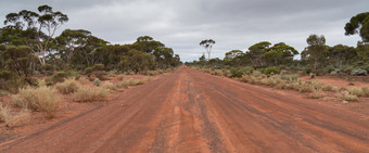 路内地西方澳大利亚典型的启封路在的内地西方澳大利亚