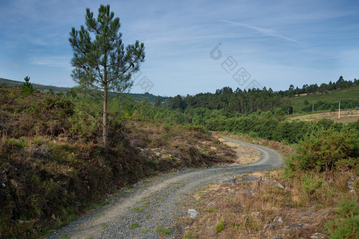 全景景观沿着的道路圣地亚哥小道之间的卢戈和melide加利西亚西班牙