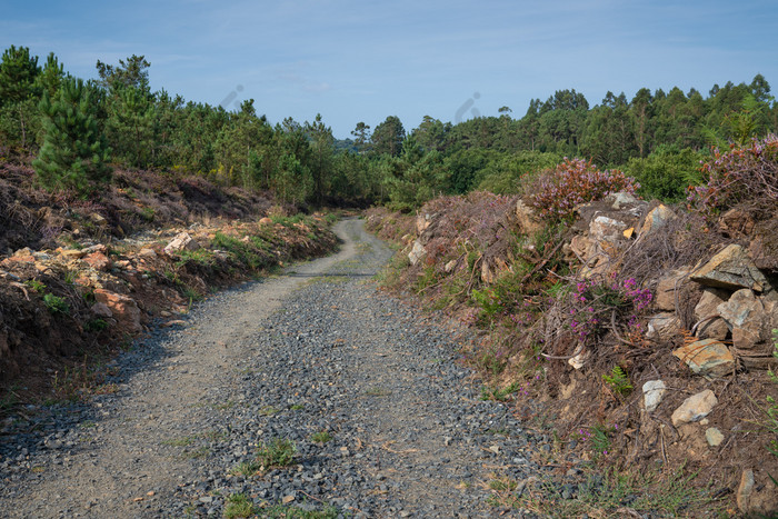 全景景观沿着的道路圣地亚哥小道之间的卢戈和melide加利西亚西班牙