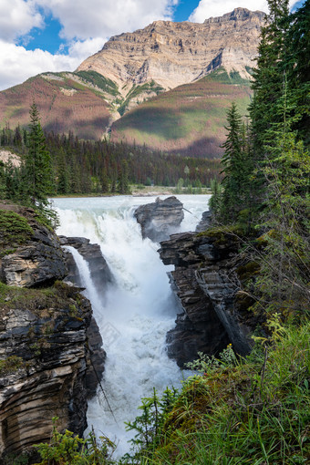全景图像的阿萨巴斯卡瀑布美丽的的地方关闭的冰原百汇碧玉国家公园阿尔伯塔省加拿大