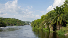 景观默奇森瀑布国家公园乌干达