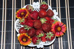 草莓是常年草本植物属Fragaria
