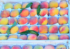 新鲜的和成熟的桃子是出售的集市