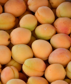成熟的杏子的新收获是出售的集市