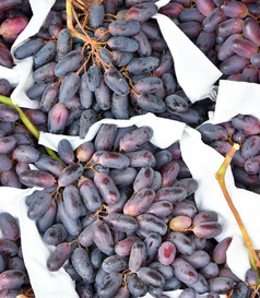 成熟的葡萄的新收获是出售的集市