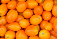 成熟的西红柿的新收获是出售的集市