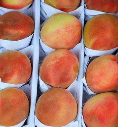 成熟的桃子的新收获是出售的集市