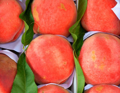 成熟的桃子的新收获是出售的集市