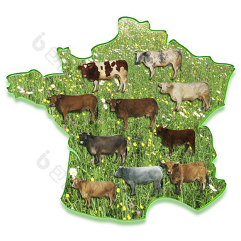 牛草地地图法国救援