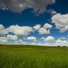 美丽的绿色草地与伟大的多云的天空