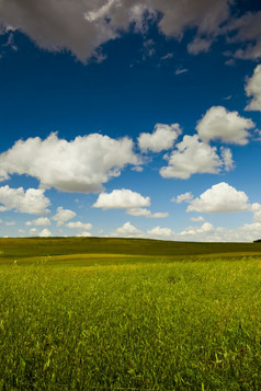 美丽的绿色草地与伟大的多云的天空