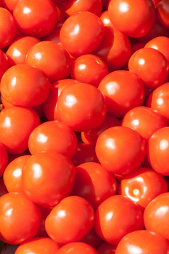 许多新鲜的红色的成熟的的tomatos