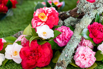 selrcted花园山茶花花装饰和美