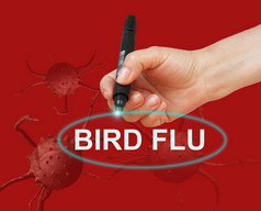 写作词鸟流感与标记红色的背景使软件