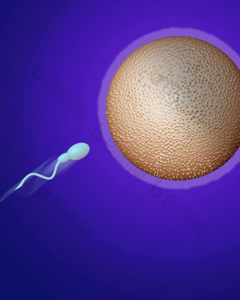 精子标题对蛋使软件