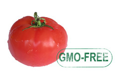 番茄gmo-free邮票溶胶化白色