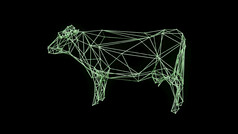 线框架模型牛呈现