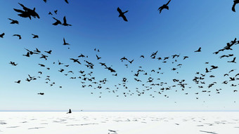 插图群鸟飞行在的屏幕