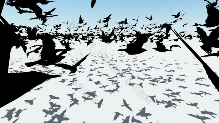 插图群鸟飞行在的屏幕
