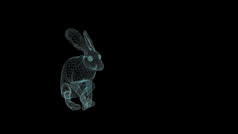 线框架插图兔子运行黑色的背景