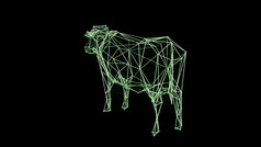 插图线框架模型孤立的经典牛奶牛旋转