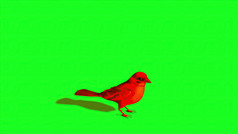 插图鸟麻雀闲置和飞行绿色屏幕