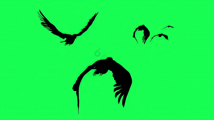 插图轮廓猎鹰滑翔和扑孤立的屏幕图片