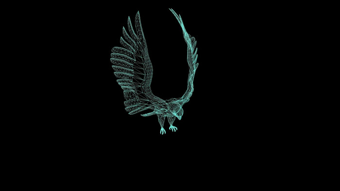 插图线框架猎鹰滑翔和扑黑色的背景