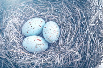 三个复活节鸡蛋的巢为复活节与梦幻蓝色的爽肤水