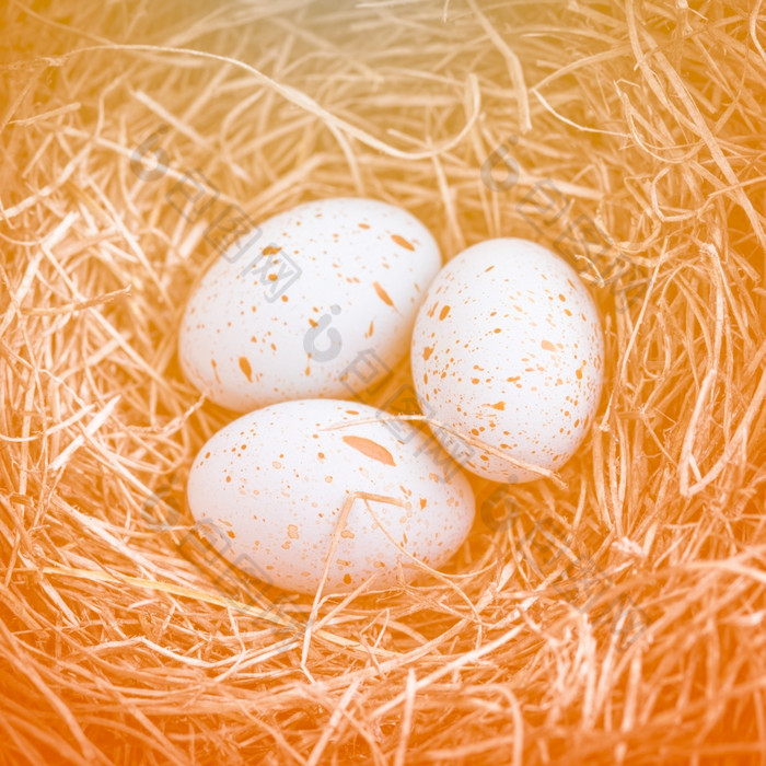 三个鸡蛋的巢为复活节与温暖的橙色爽肤水