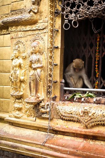 猴子佛教神社斯瓦扬布纳特佛塔猴子寺庙尼泊尔加德满都