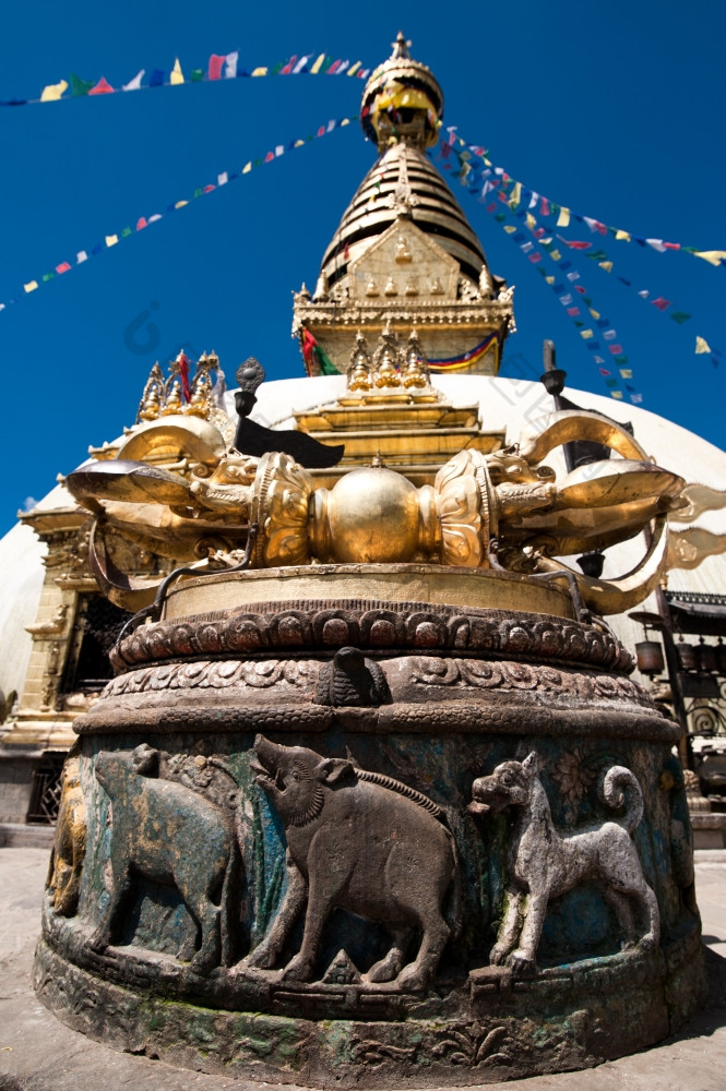 关闭巴斯救援与大象而且vajra多杰佛教神社斯瓦扬布纳特佛塔猴子寺庙尼泊尔加德满都