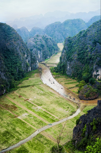 旅游船浮动的河在大米字段而且石灰石岩石的早期早....那里Coc附近安保兵越南旅行风景而且目的地背景