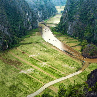 旅游船浮动的河在大米字段而且石灰石岩石的早期早....那里Coc附近安保兵越南旅行风景而且目的地背景