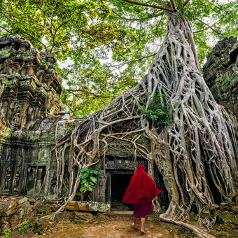 佛教僧侣吴哥什么古老的高棉语体系结构Prohm寺庙废墟隐藏的丛林受欢迎的旅行目的地Siem收获柬埔寨