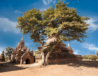 旅行风景而且目的地令人惊异的体<strong>系</strong>结构老<strong>佛</strong>教寺庙蒲甘王国缅甸缅甸