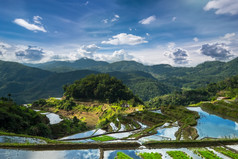 令人惊异的全景视图大米梯田字段伊富高省山下多云的蓝色的天空巴拿威菲律宾联合国教科文组织遗产