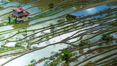 村房子附近大米梯田字段令人惊异的摘要纹理与天空色彩斑斓的反射水伊富高省巴拿威菲律宾联合国教科文组织遗产