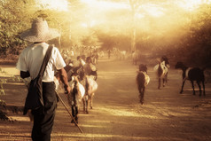 缅甸牧羊人领导山羊群沿着的尘土飞扬的路通过令人惊异的蒲甘日落景观缅甸缅甸旅行目的地