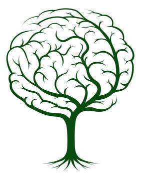 大脑树插图树知识医疗环境心理