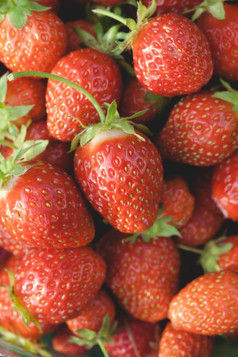桩成熟的花园草莓特写镜头浅深度场