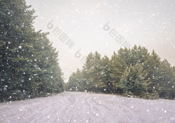 寒冷的景观风景与平县和森林雪景观背景为复古的圣诞节卡冬天树仙境冬天场景圣诞节新一年背景冬天的演讲