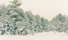 寒冷的景观风景与平县和森林雪景观背景为复古的圣诞节卡冬天树仙境冬天场景圣诞节新一年背景冬天的演讲