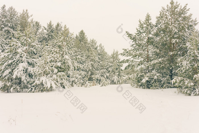 寒冷的景观风景与平县和森林雪景观背景为复古的圣诞节卡冬天树仙境冬天场景圣诞节新一年背景冬天的演讲