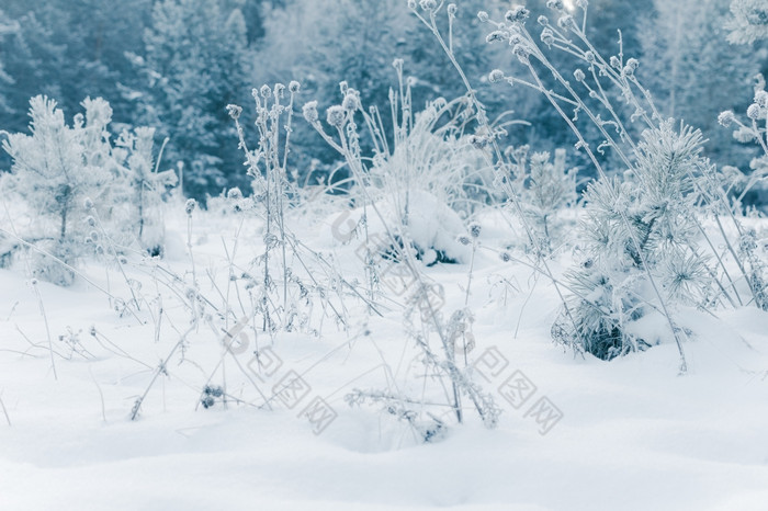 摘要冬天背景冬天户外场景快乐新一年和快乐圣诞节背景为问候消息关于促销活动和销售为社会媒体海报电子邮件打印广告