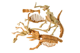 玩具恐龙骨头孤立的白色背景