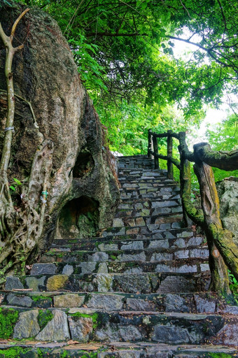 令人惊异的场景湄公河δ岩石山老石头楼梯与岩石栅栏树与大树树干摘要屋顶而且大树桩的道路<strong>天堂</strong>绿色景观为越南旅行