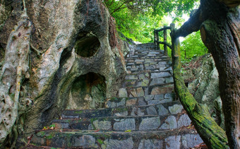 令人惊异的场景湄公河δ岩石山老石头楼梯与岩石栅栏树与大树树干摘要屋顶而且大树桩的道路天堂绿色景观为越南旅行