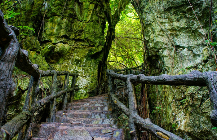 令人惊异的场景湄公河δ岩石山老石头楼梯与岩石栅栏树与大树树干摘要屋顶而且大树桩的道路天堂绿色景观为越南旅行